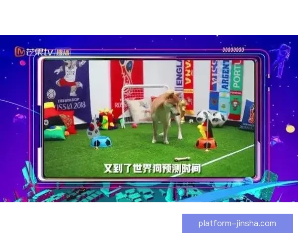 围绕世界杯竞猜游戏打造全民参与的趣味互动与智慧博弈盛宴